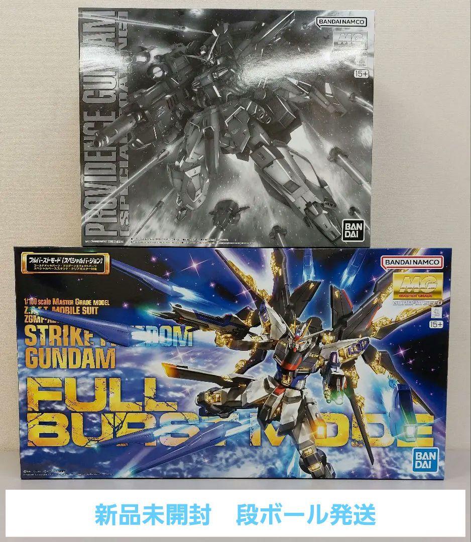 MG 1/100 プロヴィデンスガンダム [スペシャルコーティング]