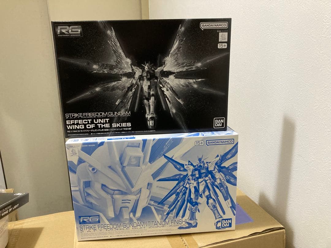 ＲＧセット　フリーダム　ディスティニーガンダム［チタニウムフィニッシュ］