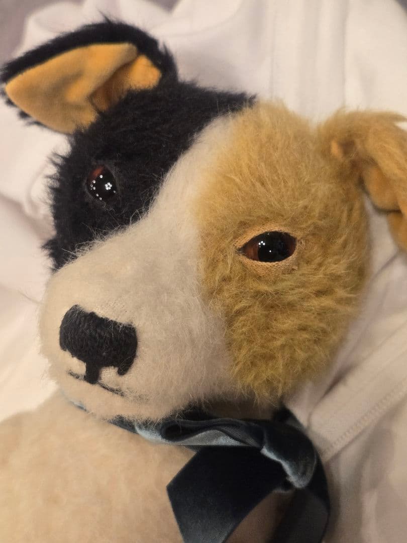 大國早苗さんの 犬のぬいぐるみ。