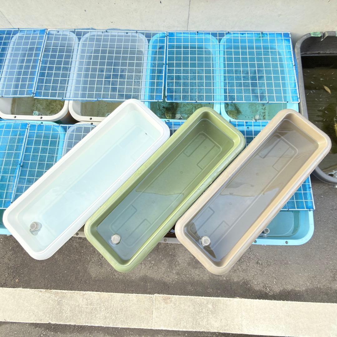 ★お得プランター5個セット★オーバーフローメダカ飼育容器 NVボックス プラ舟