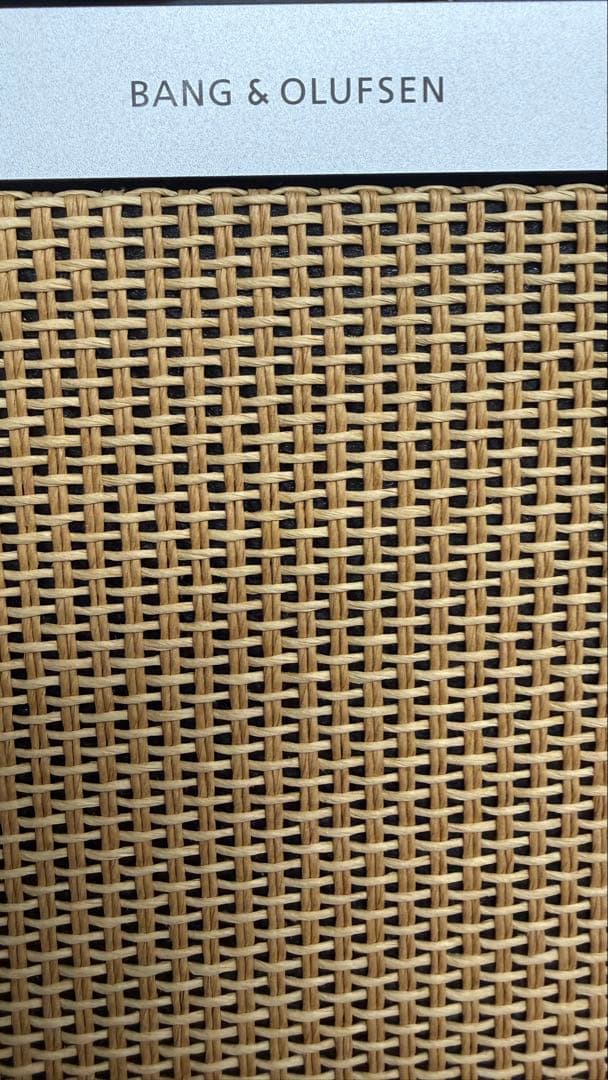 Bang & Olufsen Beosound A5 ワイヤレススピーカー