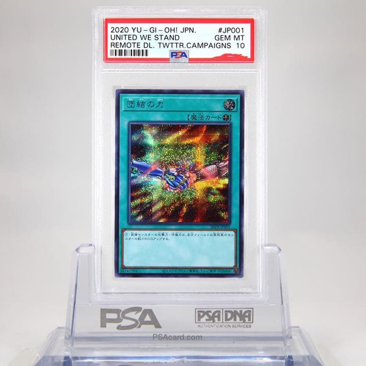 団結の力　ブルシク　PSA  GEMMINT10