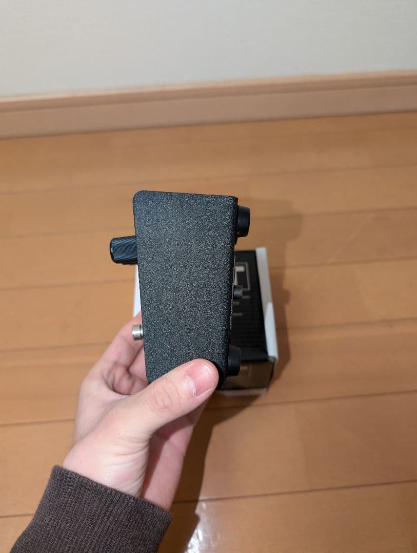 極美品ProCo　RAT2