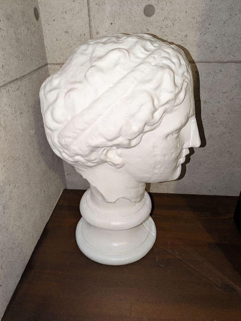 【送料無料】石膏像 ラボルト パルテノン 首像　美大　デッサン