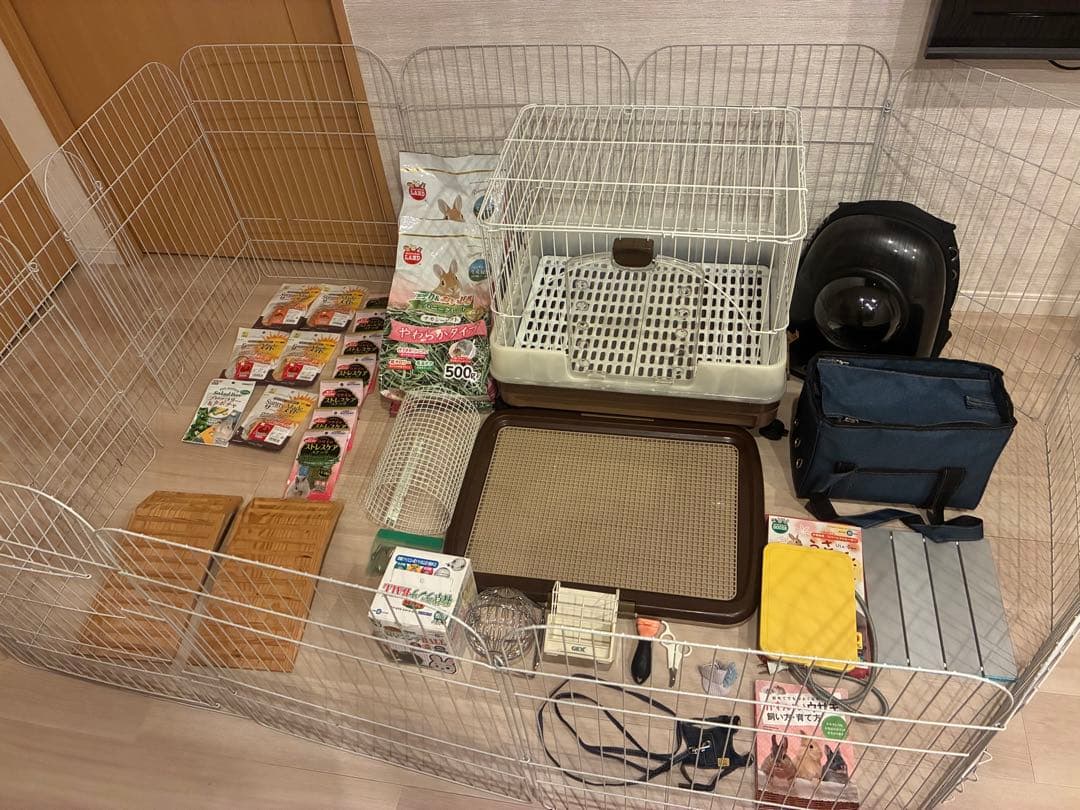 うさぎ　飼育セット