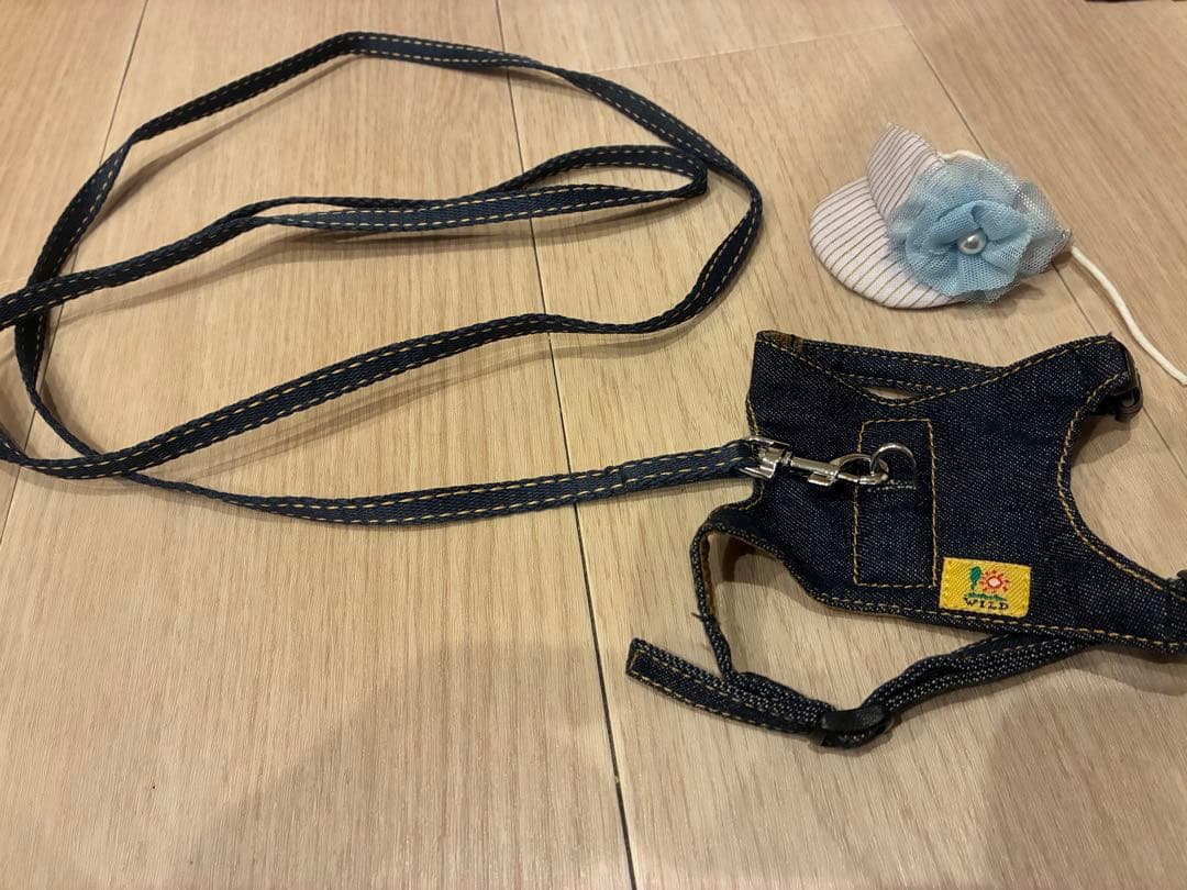 うさぎ　飼育セット