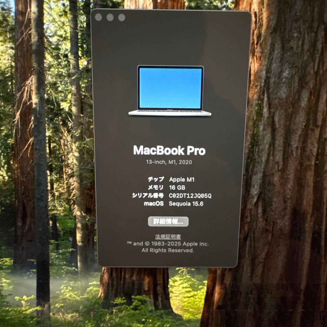 MacBook本体 M1 MacBook Pro 2020 16GB/1TB