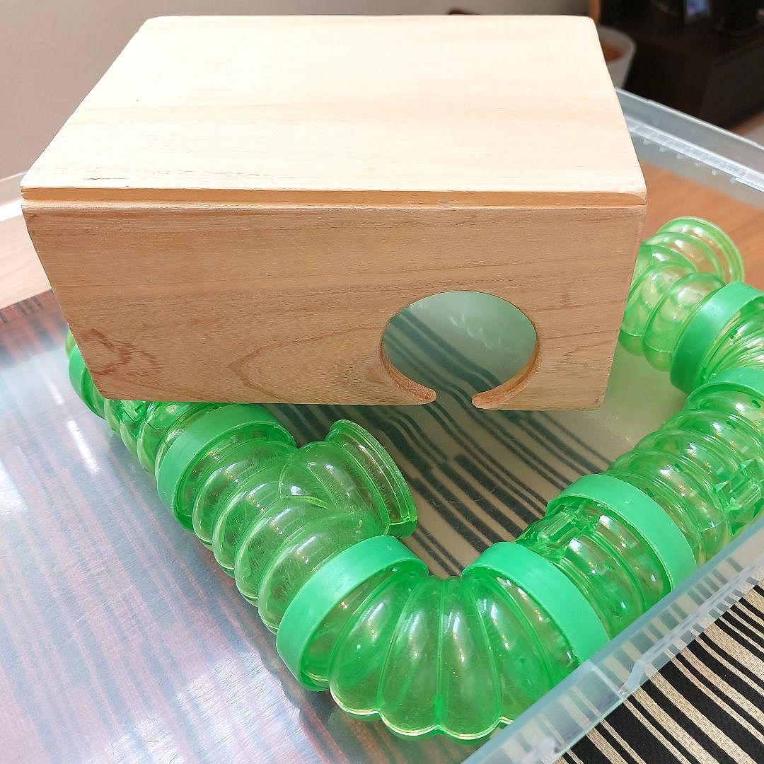 GEX GlassHarmony600Highグラスハーモニー　ハムスターゲージ