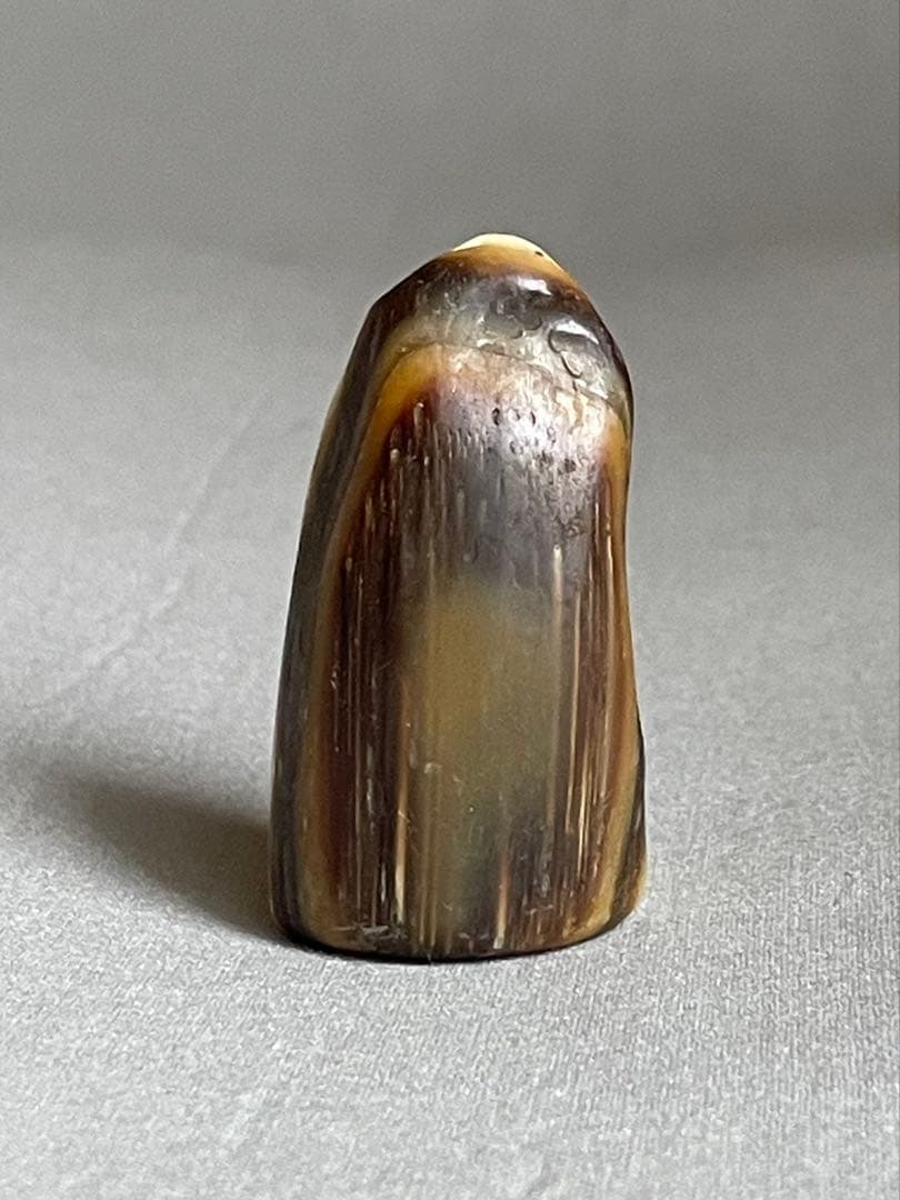 三線用　爪　鯨髭＋鯨歯　Bタイプ　最終出品分