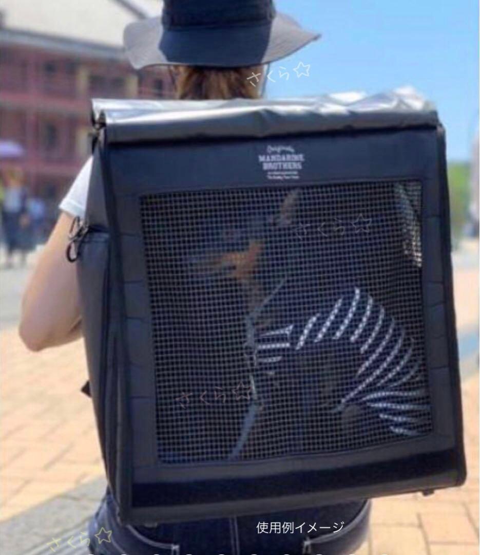 MANDARINE BROTHER ブリクストンキャリーバックパック　リュック