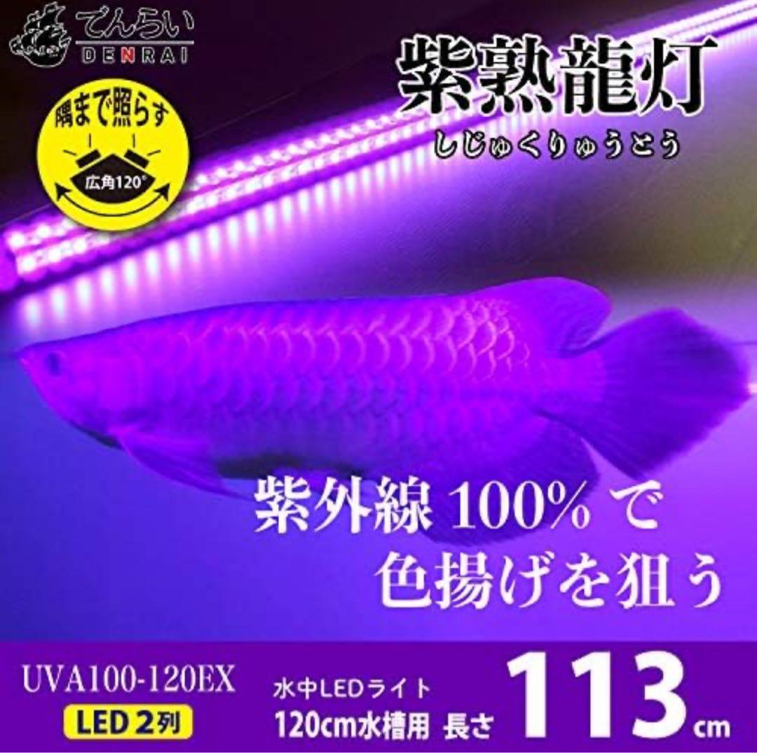 シ*ウ様 でんらい製　紫熟龍灯　（ナイトメロー/UV100A）アロワナ色揚げライ