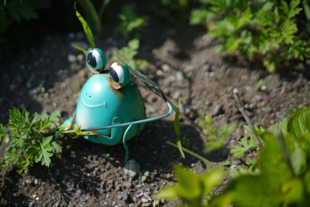 【分解清掃済美品】MINOLTA X-7＆MD ROKKOR 50mm f1.7