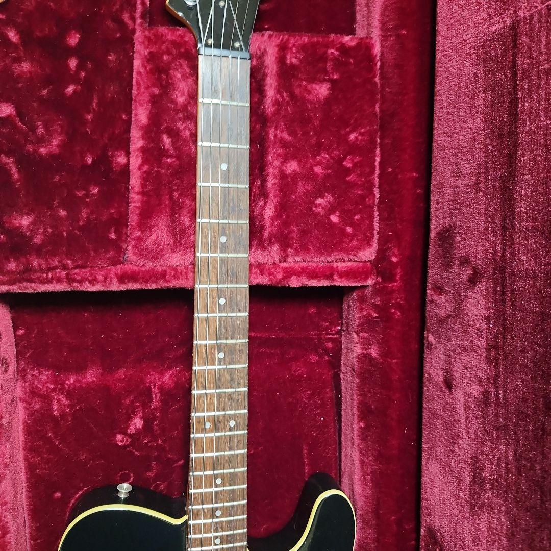 秋セール FERNANDES TEJ リミテッドエディション