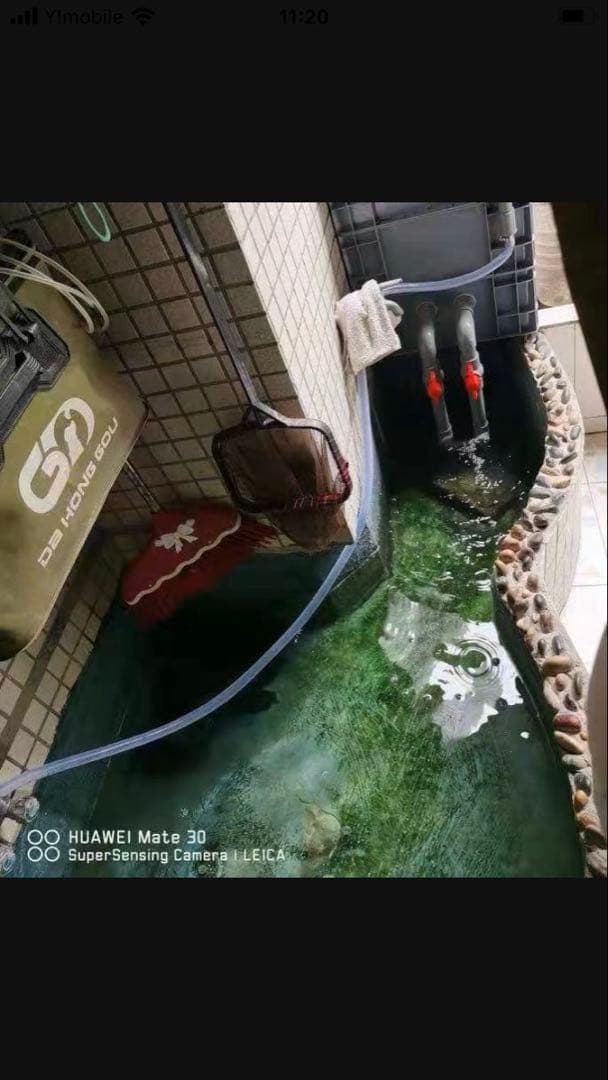 ろ材満タン付き 到着すぐ使える最強濾過装置、万能濾過フィルター即時発送送料込み