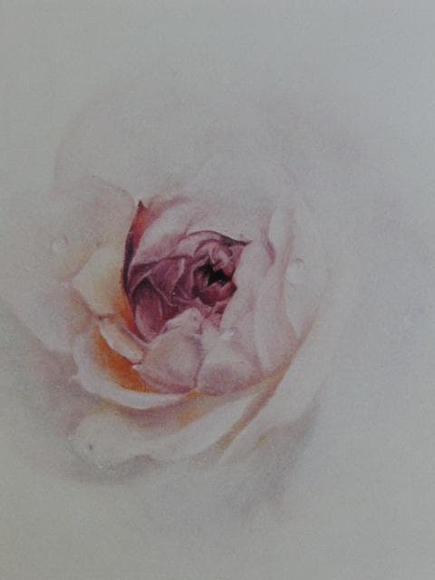 塩崎敬子、薔薇宇宙、希少な画集より、新品高級額、額装付、状態良好