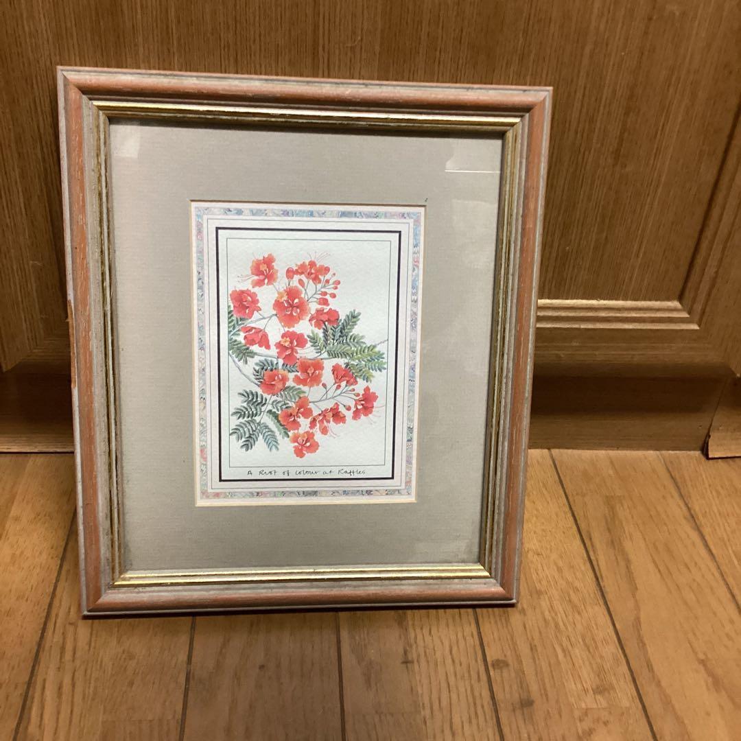 シンガポール　ラッフルズホテル購入作品　【ピーコックフラワー】　額装　 即決品