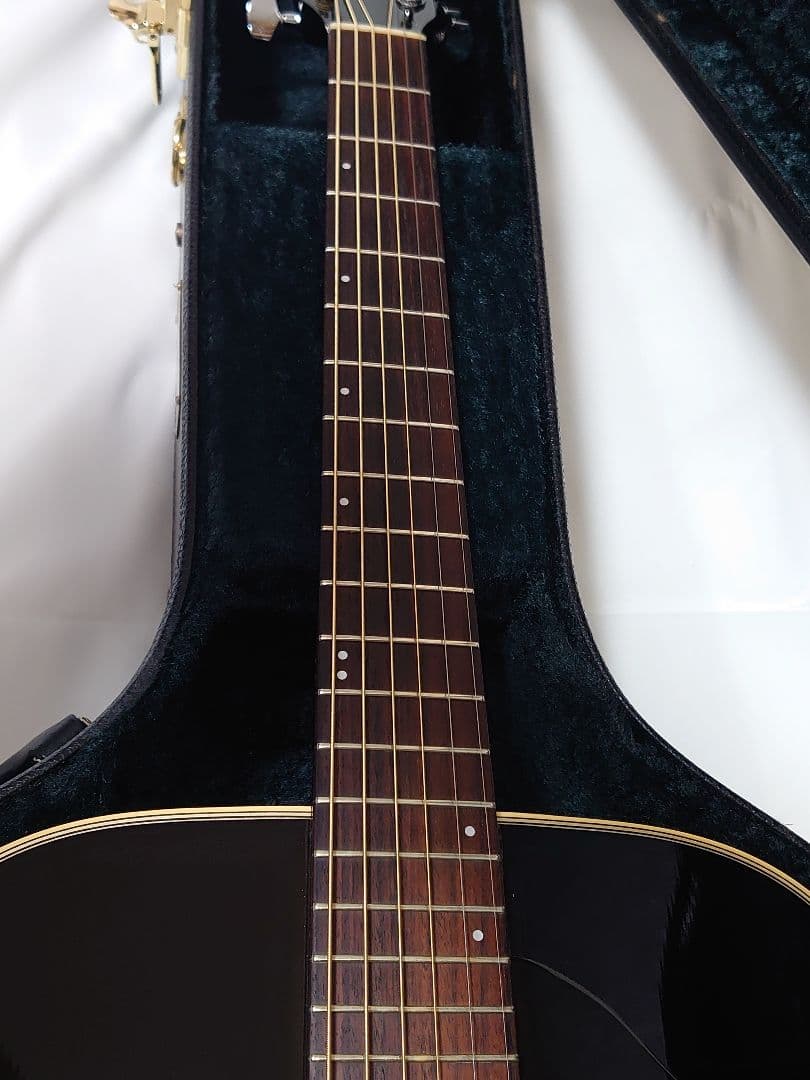 【エレアコ仕様】HISTORY NT-L4 L.R.Baggsピックアップ付