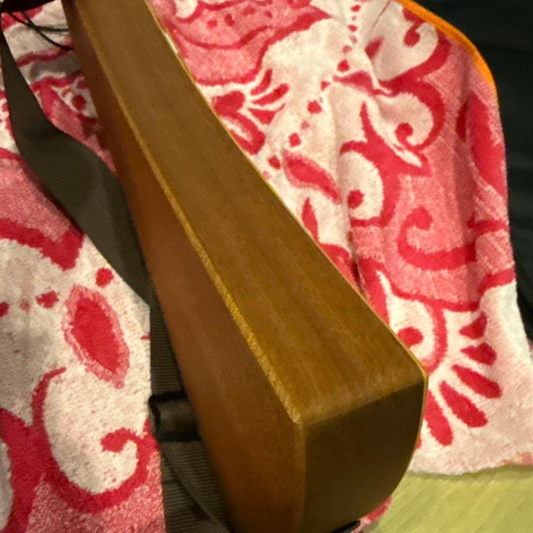 Martin Backpackar ギター