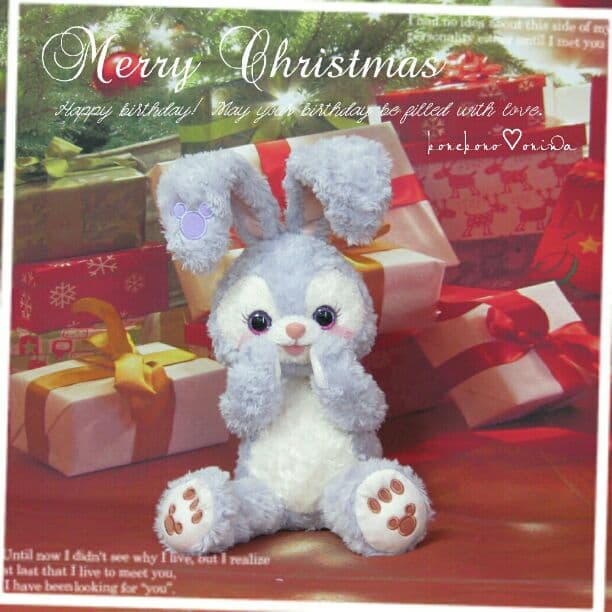 ポチオ様♡確認page☆ステラルー