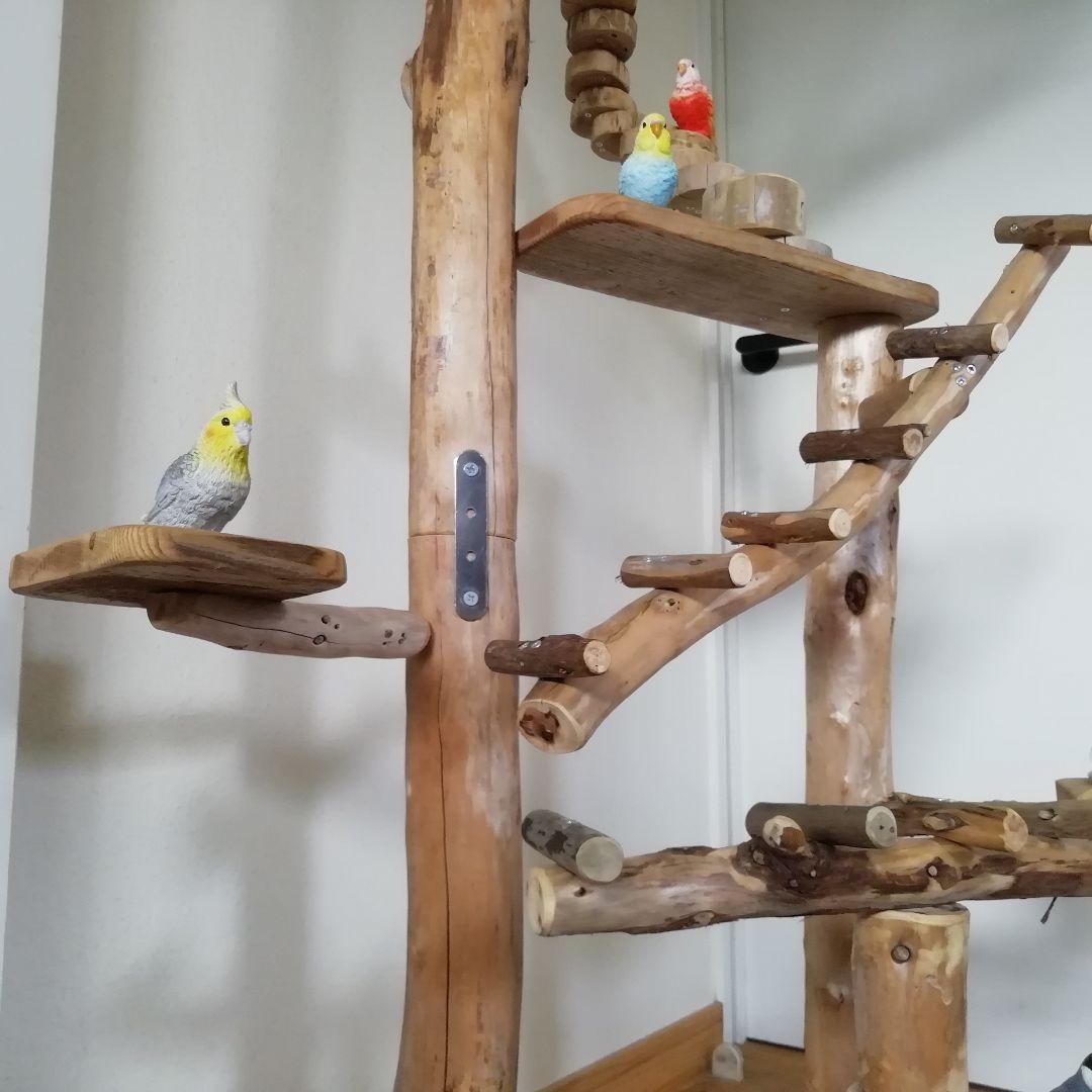 瑛 バードアスレチックジム大型 天然木 自然木 流木 止まり木 インコ