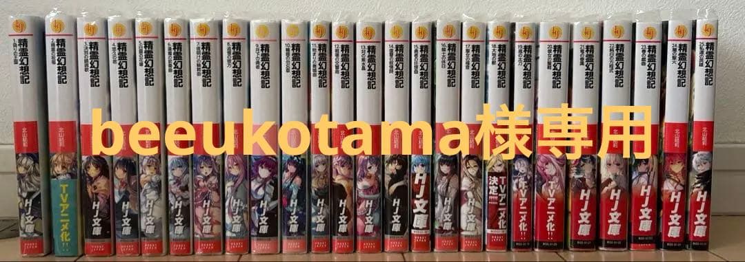 精霊幻想記 1〜25巻　ほぼ全巻