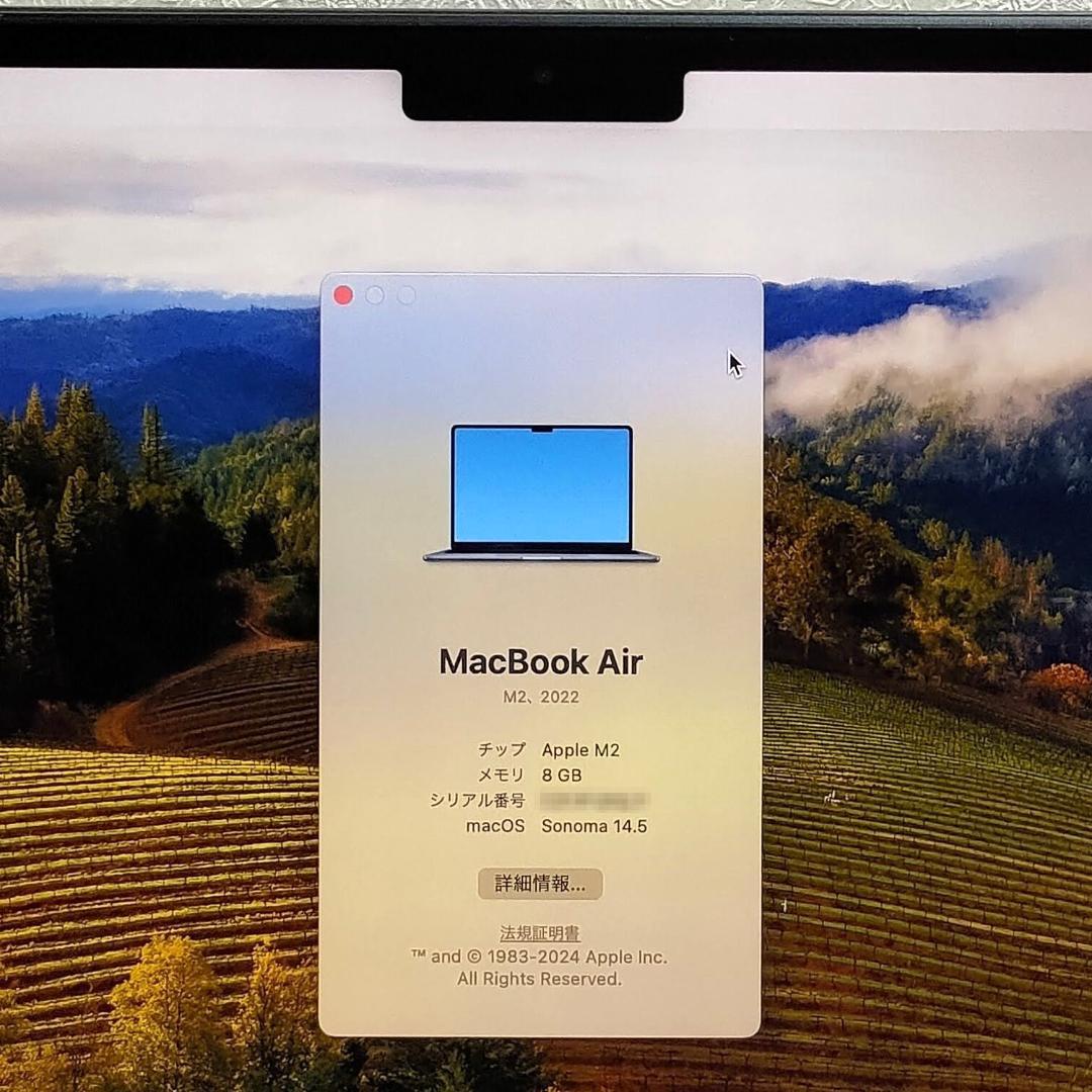 ピルクルさん専用Apple MacBook Air M2＋Magic Mouse