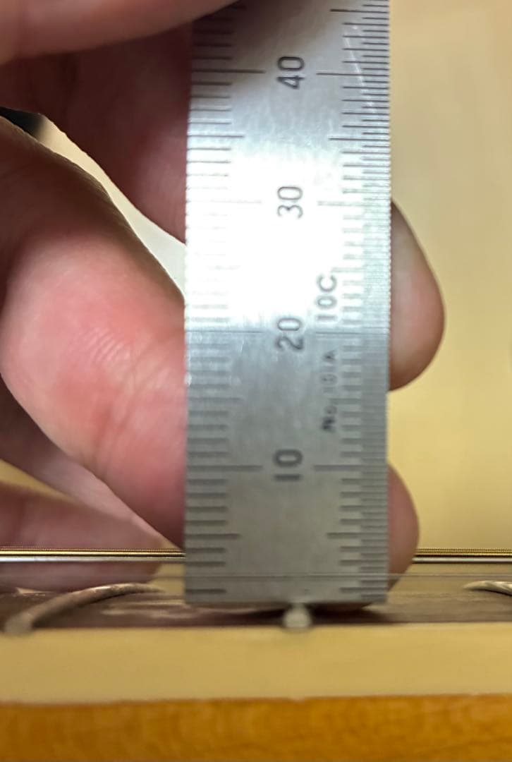 Fender Tim Armstrong Hellcat エレアコ