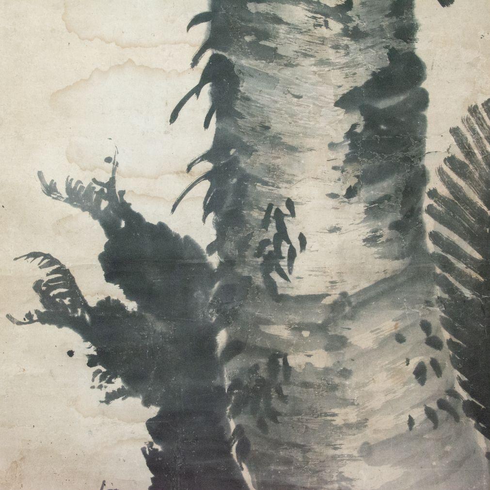 【真作】「蘇鉄」画　鳥取藩絵師　黒田稲皐 （養生箱付属）