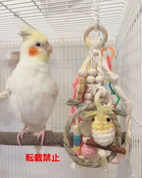 V67　ハミハミ吊り下げおもちゃ　文鳥　ことり　インコ　バードトイ