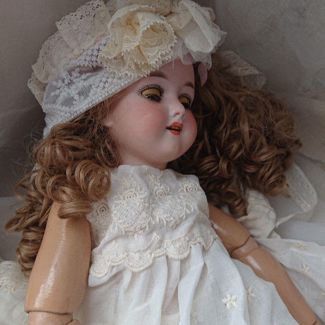 ルイス　アンバーグ　51㌢