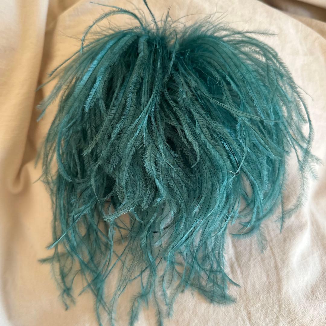 アパルトモン　INDRESS Ostrich feather broo