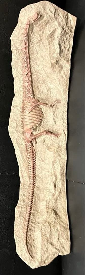 パタゴティタン　フィギュア　海洋堂