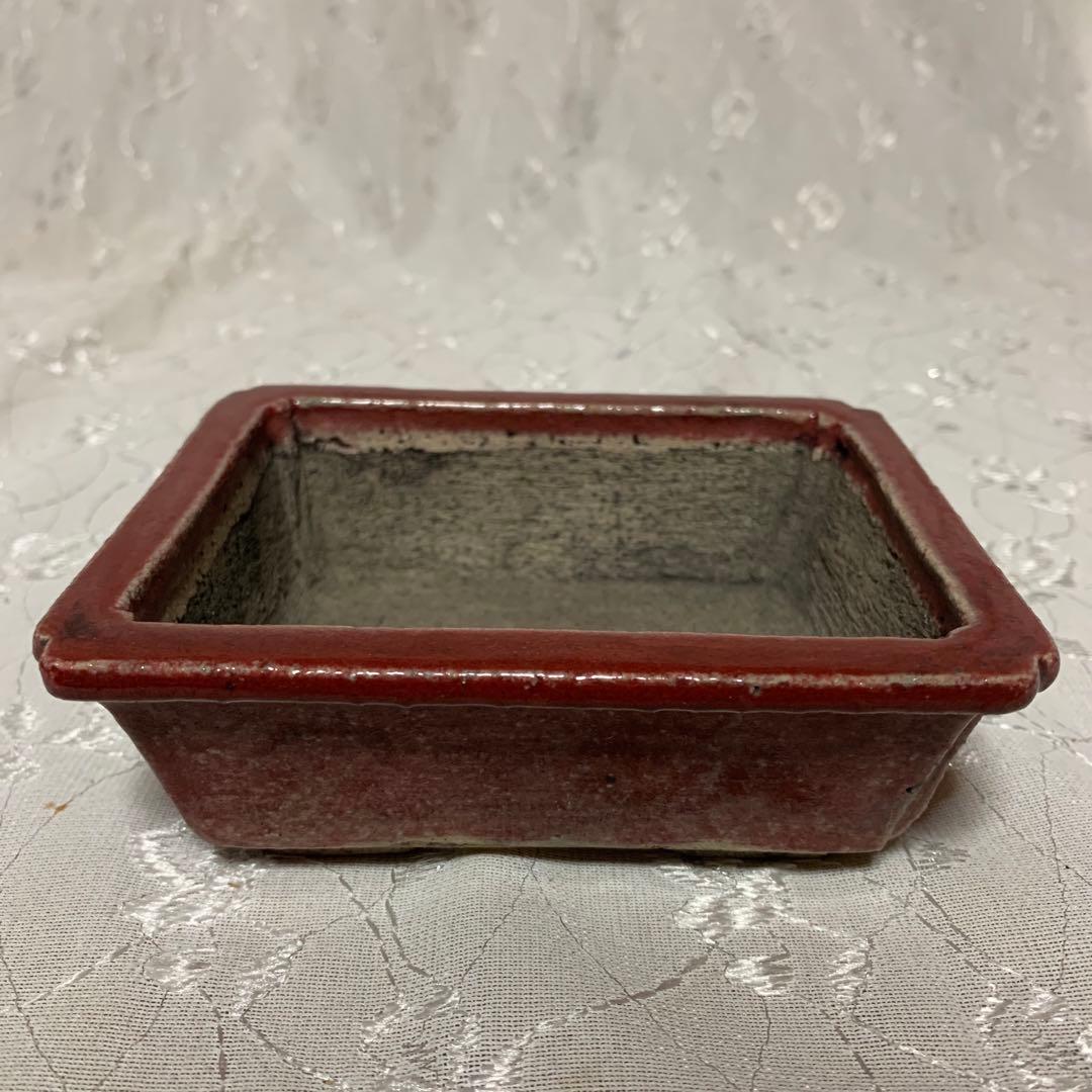 忠寛　盆栽鉢　長方　朱色