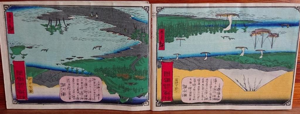 83　日本地誌略図絵　「56図」　1巻　状態良好