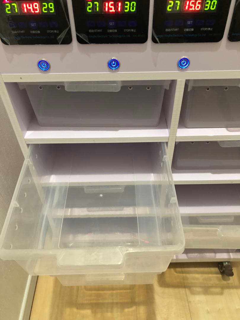 温室・ショーケース 10個収納 デジタル温度計付き