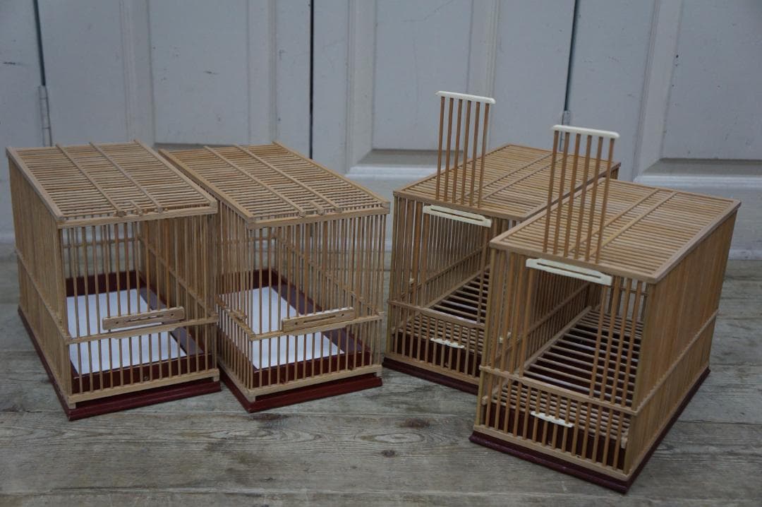 品評会用 桐箱付き 4点 30㎝ 竹籠 メジロ 鳥 鳥かご 状態良好 鑑賞籠 篭