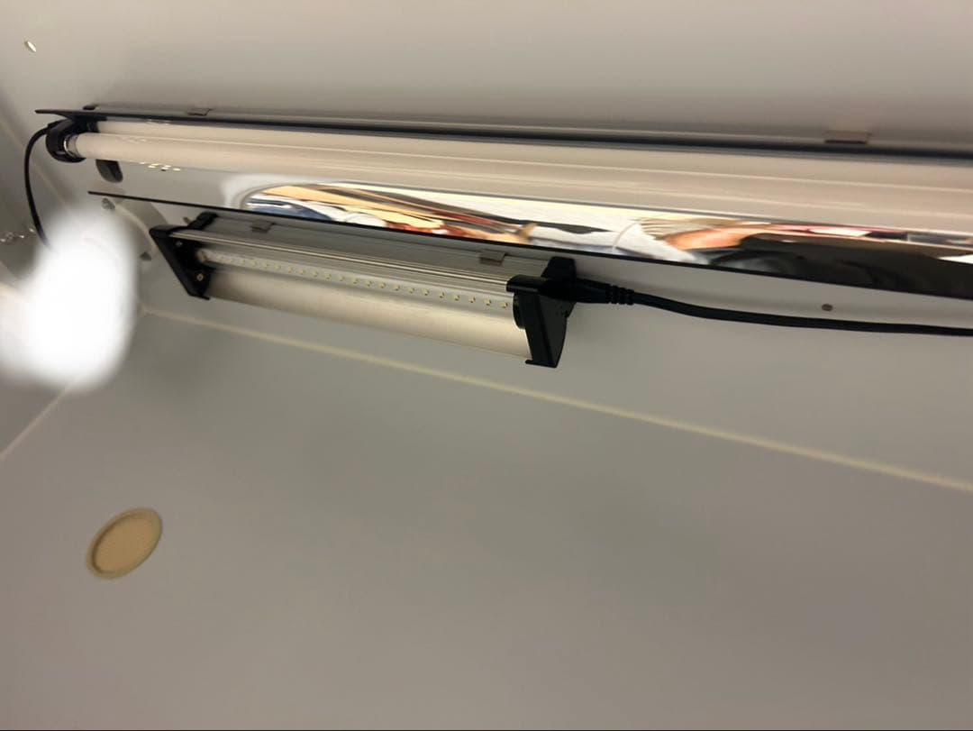 【美品】【匿名配送】ポポのケージ　フトアゴヒゲトカゲ　爬虫類