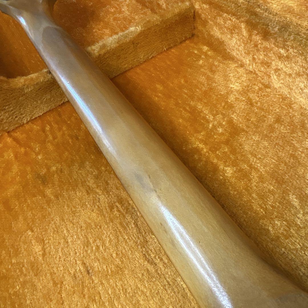 Washburn N1 ヌーノ・ベッテンコート モデル