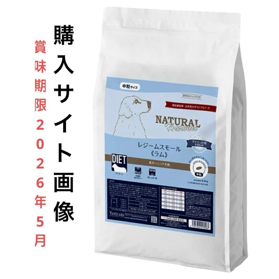 未開封VANGUARD レジームスモール（ラム） 中型犬用ドライフード5.5kg