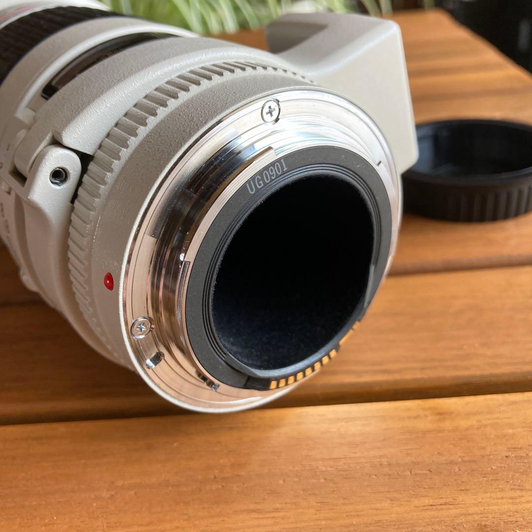 C anon EF300㎜　F4L USM 手ブレ補正機構なし