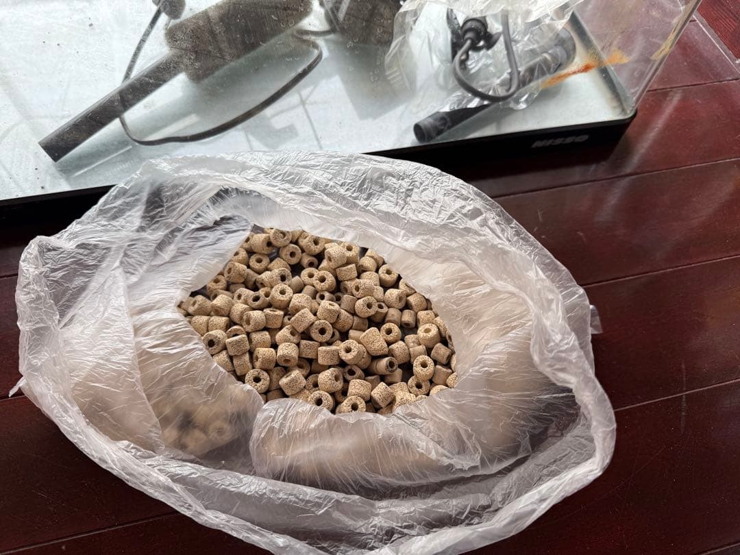 NISSO60サイズ淡水魚飼育セット前面カブガラス日本製