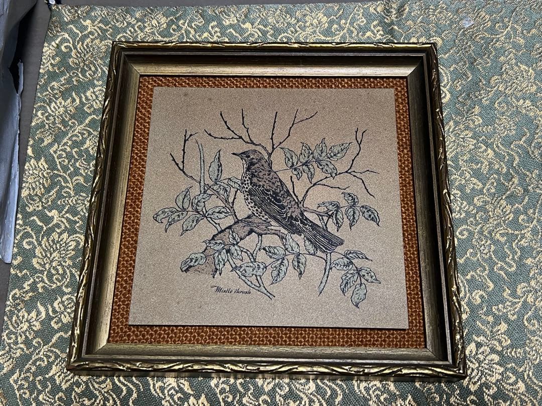 ヤドリギツグミ Hadley ティタニウムエッチング 1976