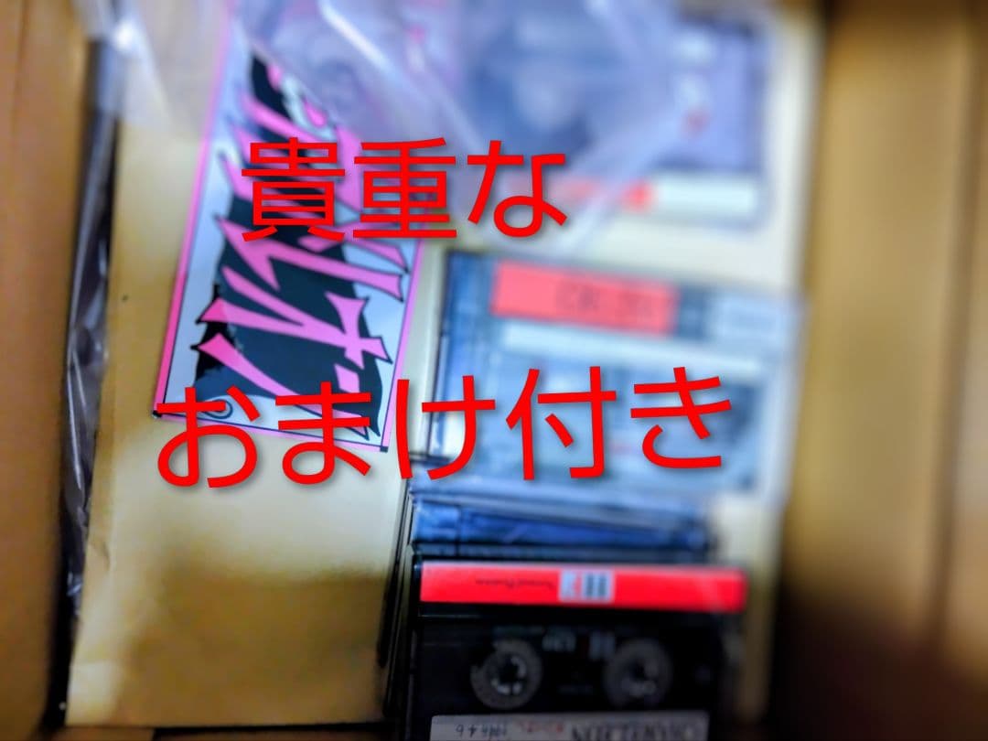 【貴重】新堂敦士率いるカメレオンファンクラブ会報 全20冊 【音源などおまけ付】