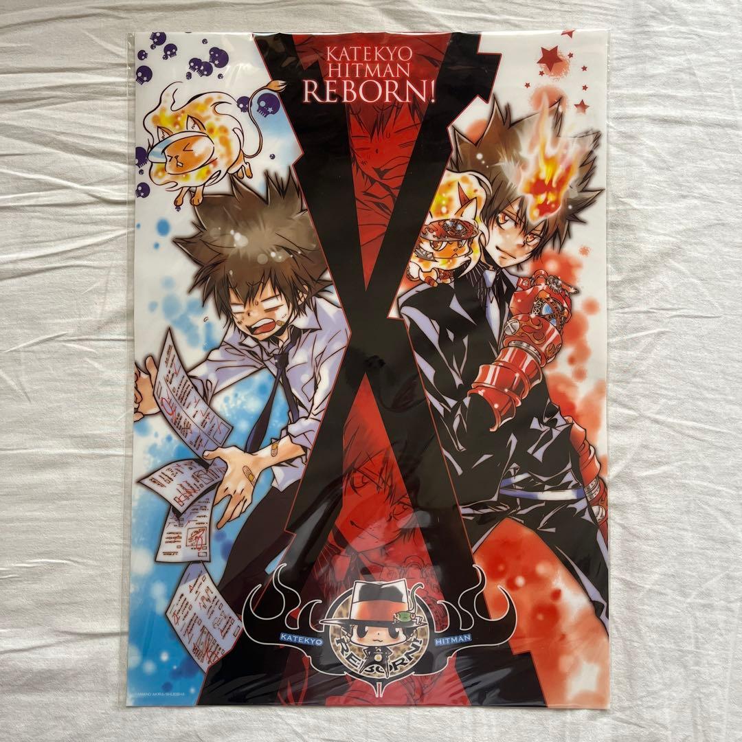 家庭教師ヒットマンREBORN!　沢田綱吉　ツナ　クリアポスター　原作絵