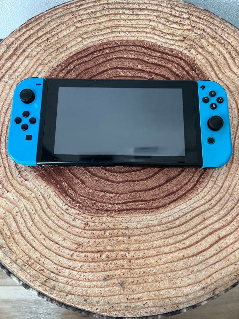 Nintendo Switch ニンテンドースイッチ本体　BLU/BLU箱無し