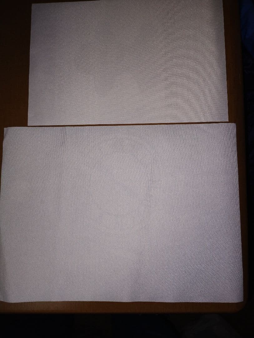 バック・トゥ・ザ・フューチャーのビニール製？のポスター 2枚セット