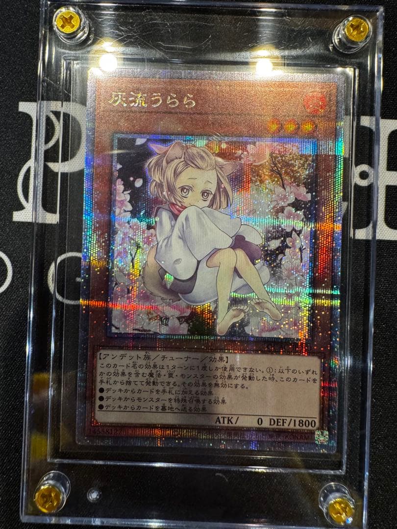 灰流うらら 絵違い 25thクオシク スクリューダウン付き