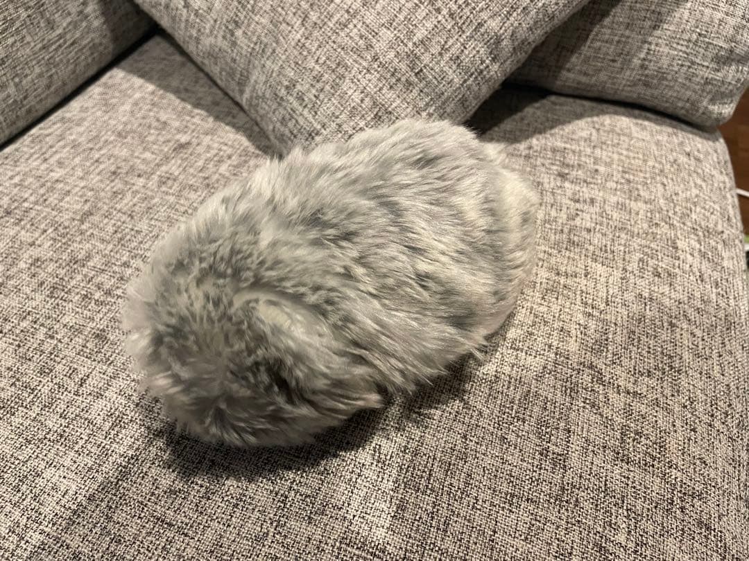 『美品』『中古』MoFIin モフリンシルバーCASIO