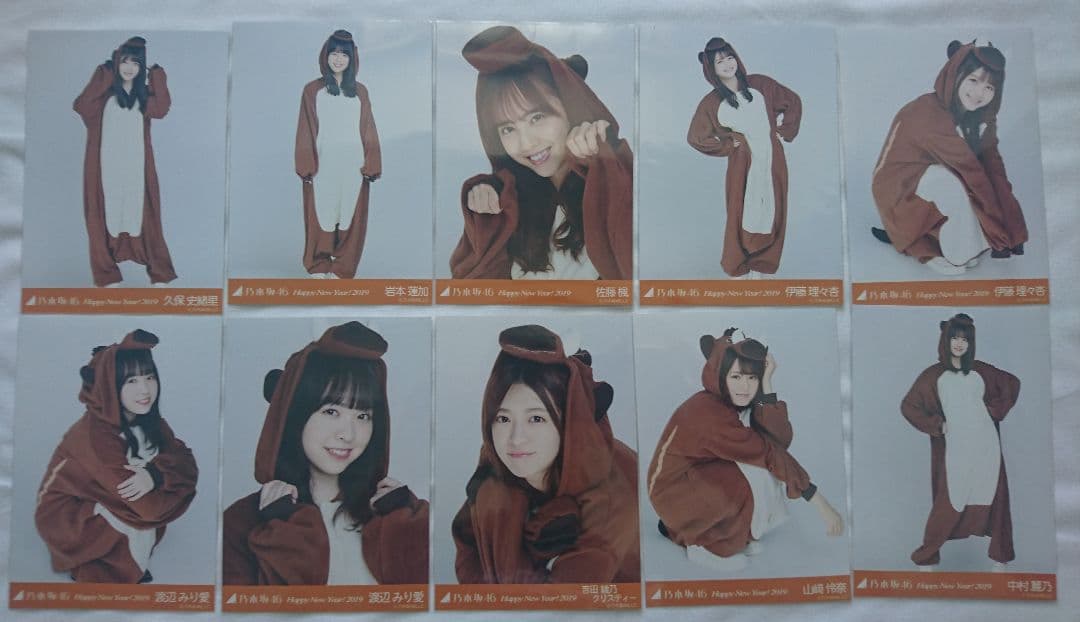 乃木坂46 生写真 
干支(2019 亥 イノシシ)