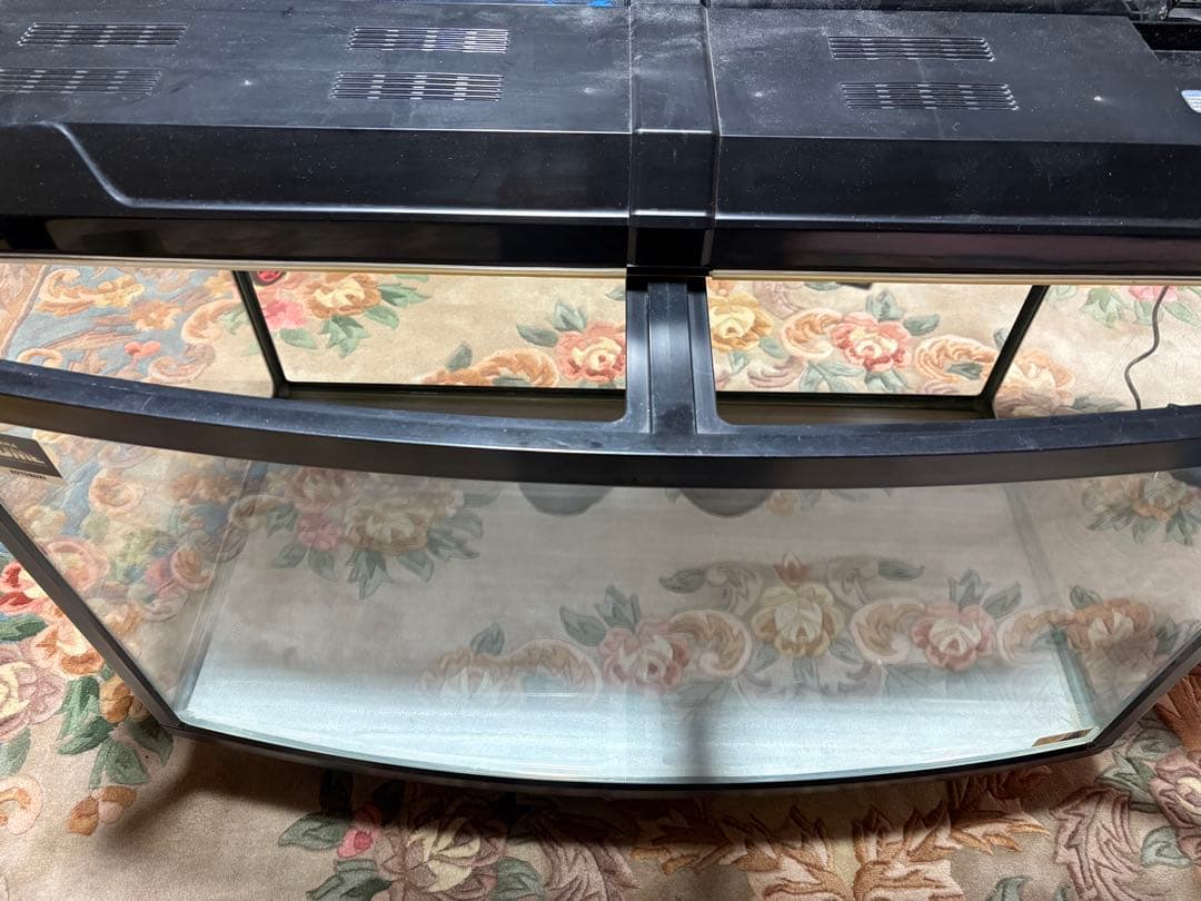 大きな水槽 蛍光灯照明付き